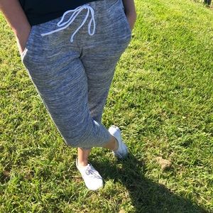 LOFT Lou and Grey Pants